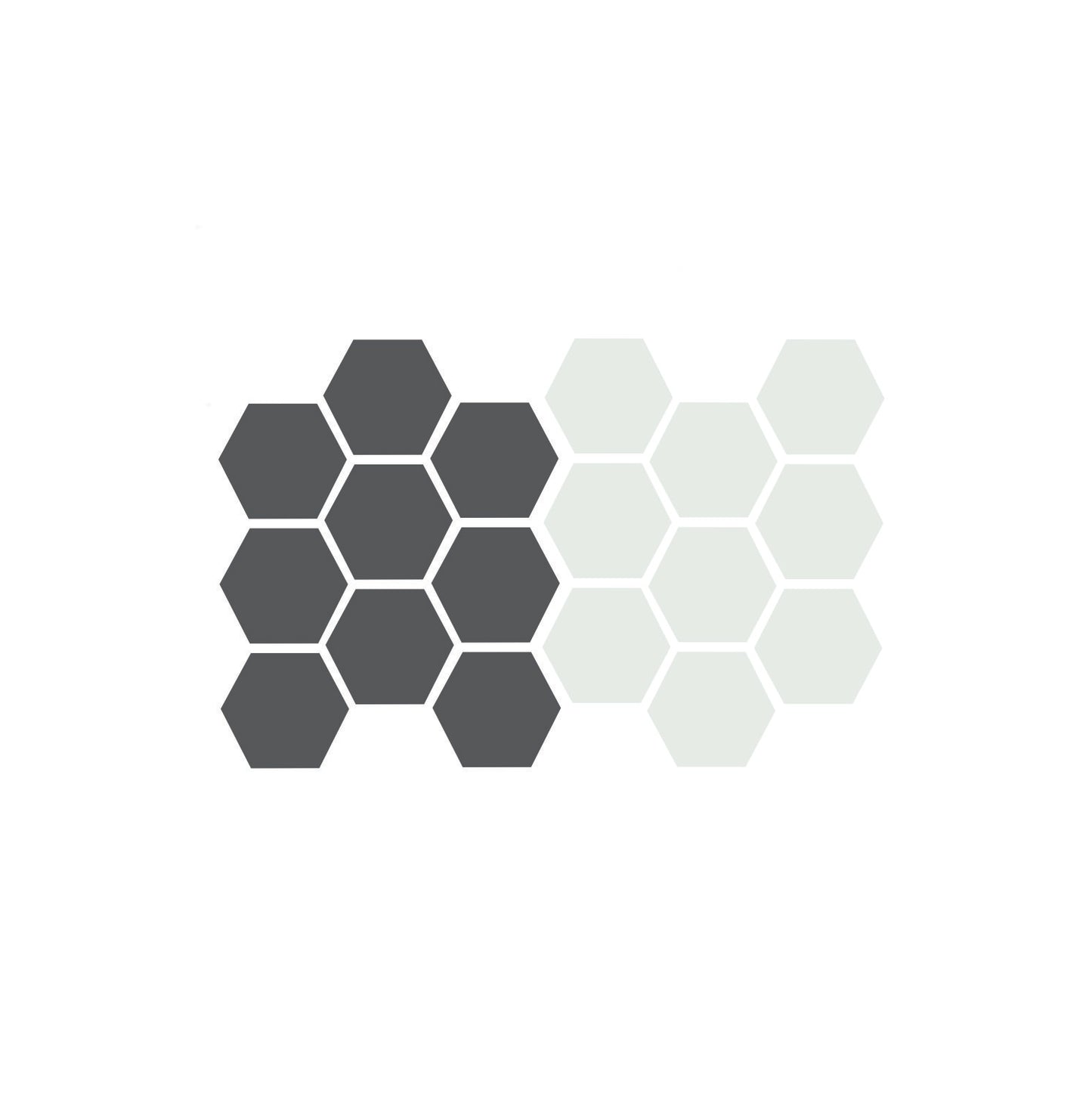 Charcoal and Ivory Color Samples