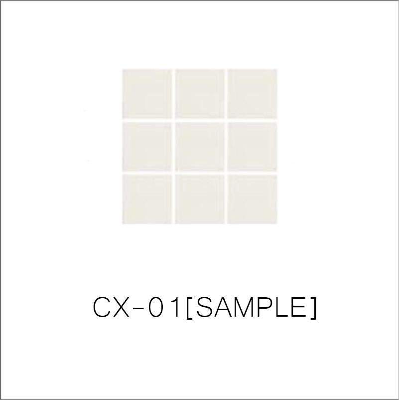 Ivory Unglazed Porcelain Sample