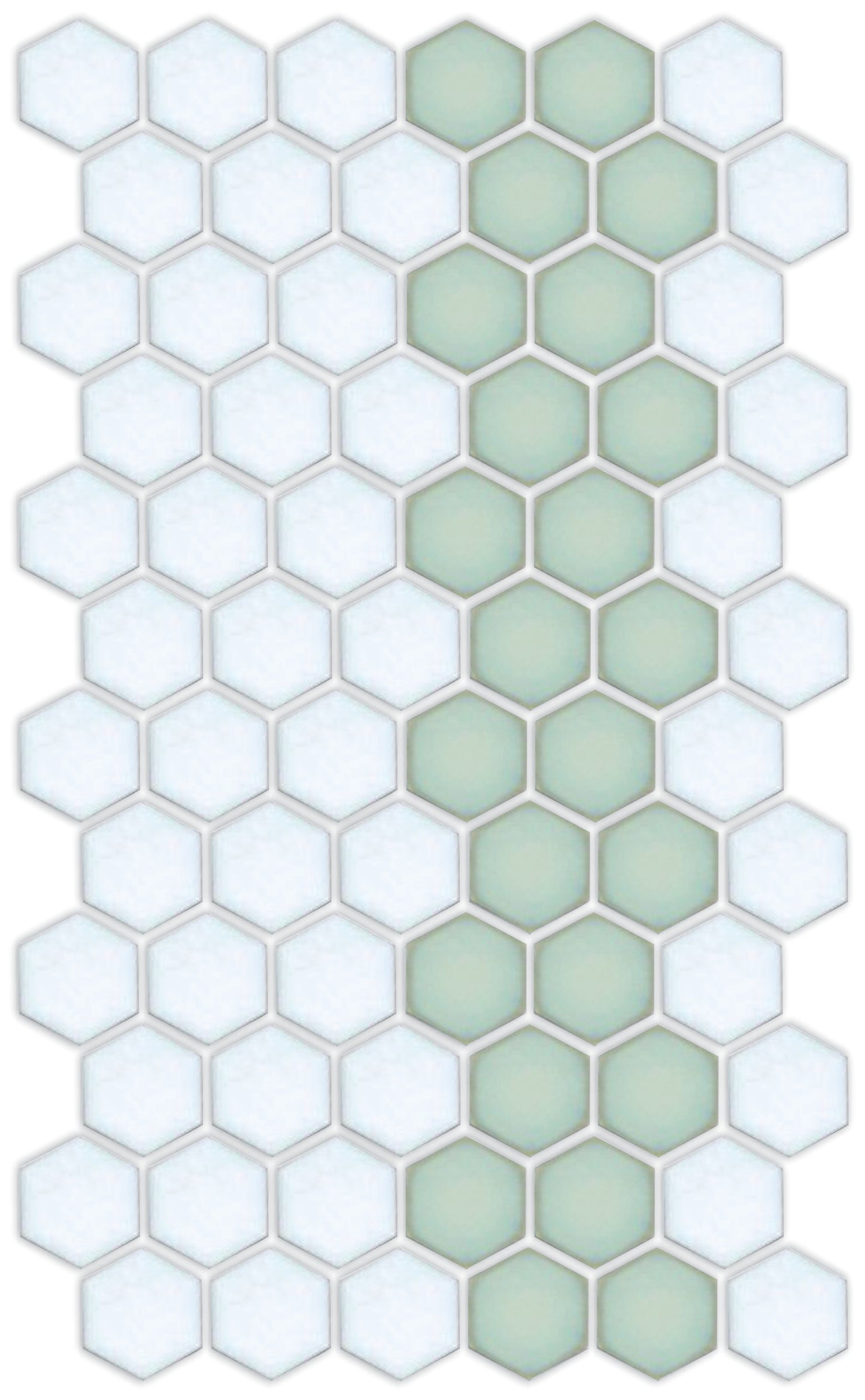 A pattern of porcelain hexagon tiles in Viridian Green and Matte white arranged in a offset border pattern