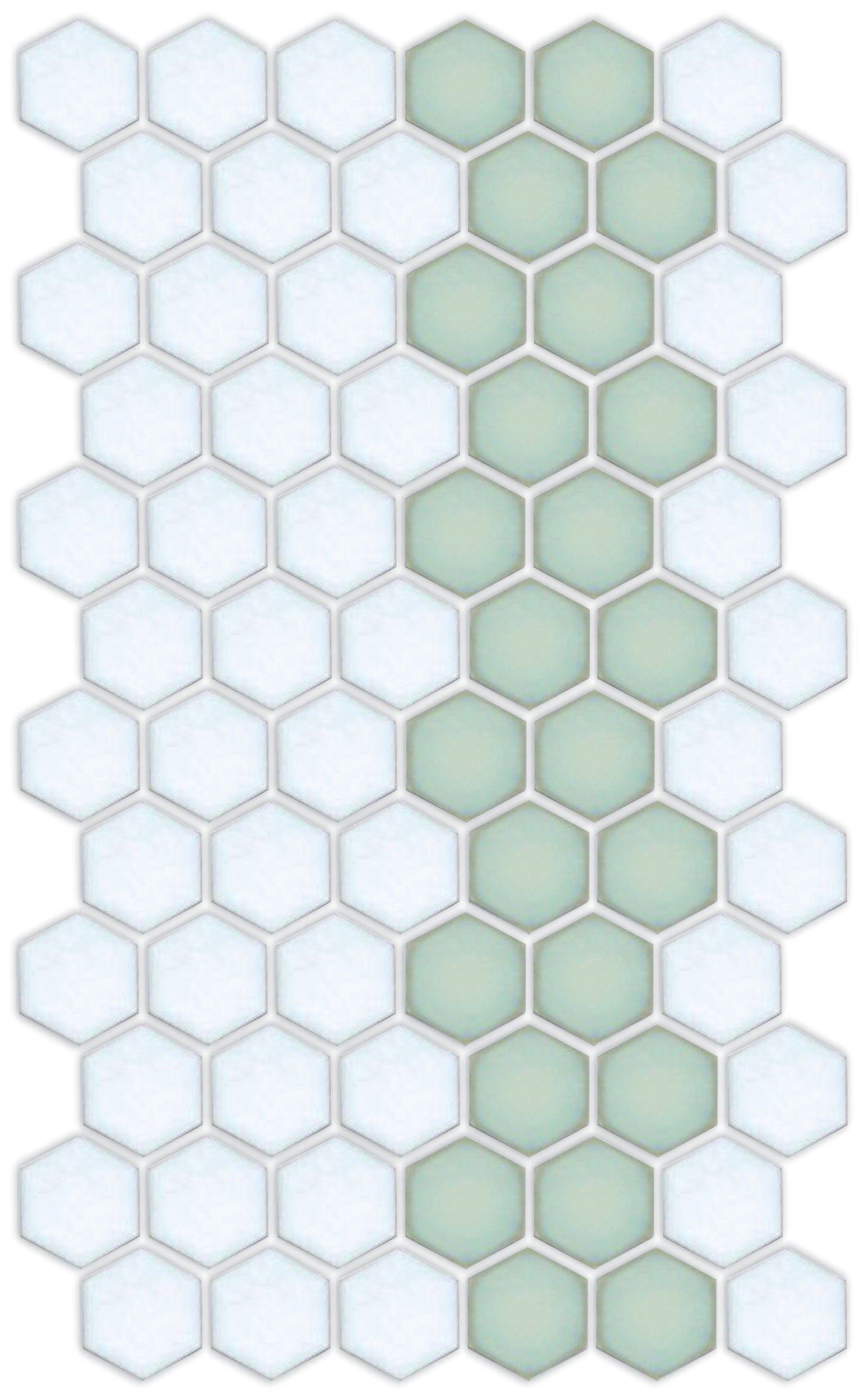 A pattern of porcelain hexagon tiles in Viridian Green and Matte white arranged in a offset border pattern