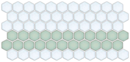 A pattern of porcelain hexagon tiles in Viridian Green and Matte white arranged in a straight border pattern