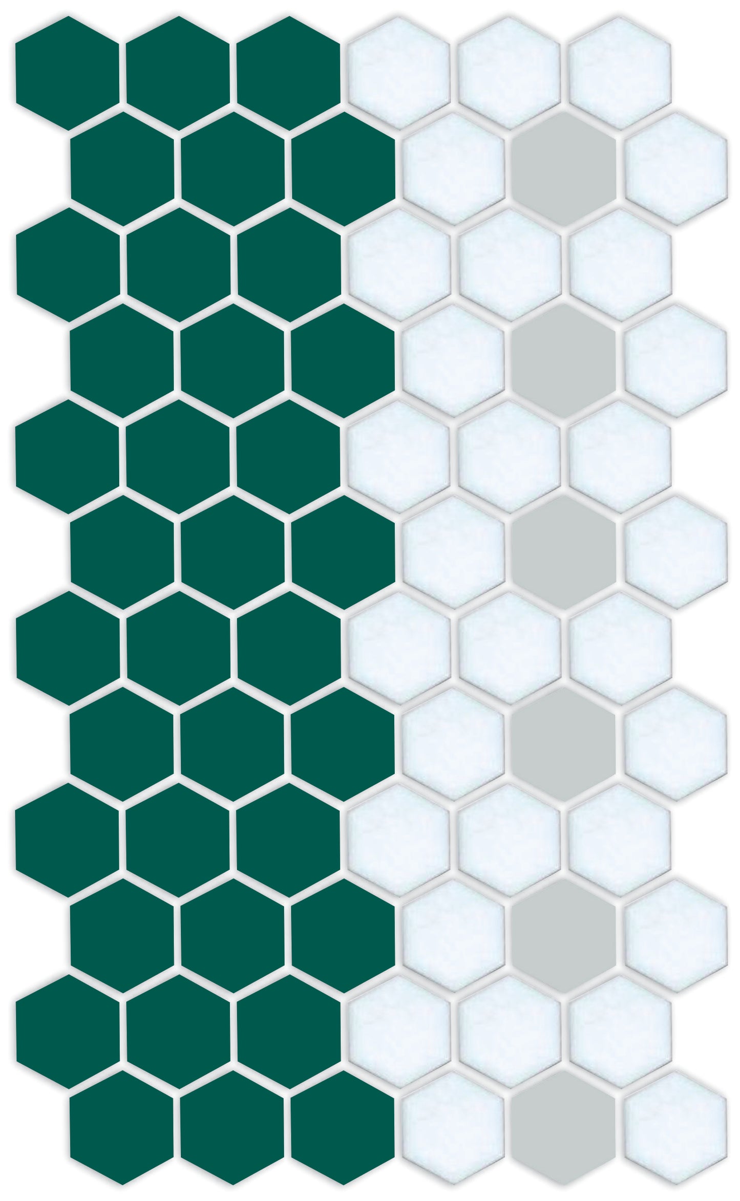 A pattern of hexagon-shaped porcelain tiles in green and white colors arranged in a border design.