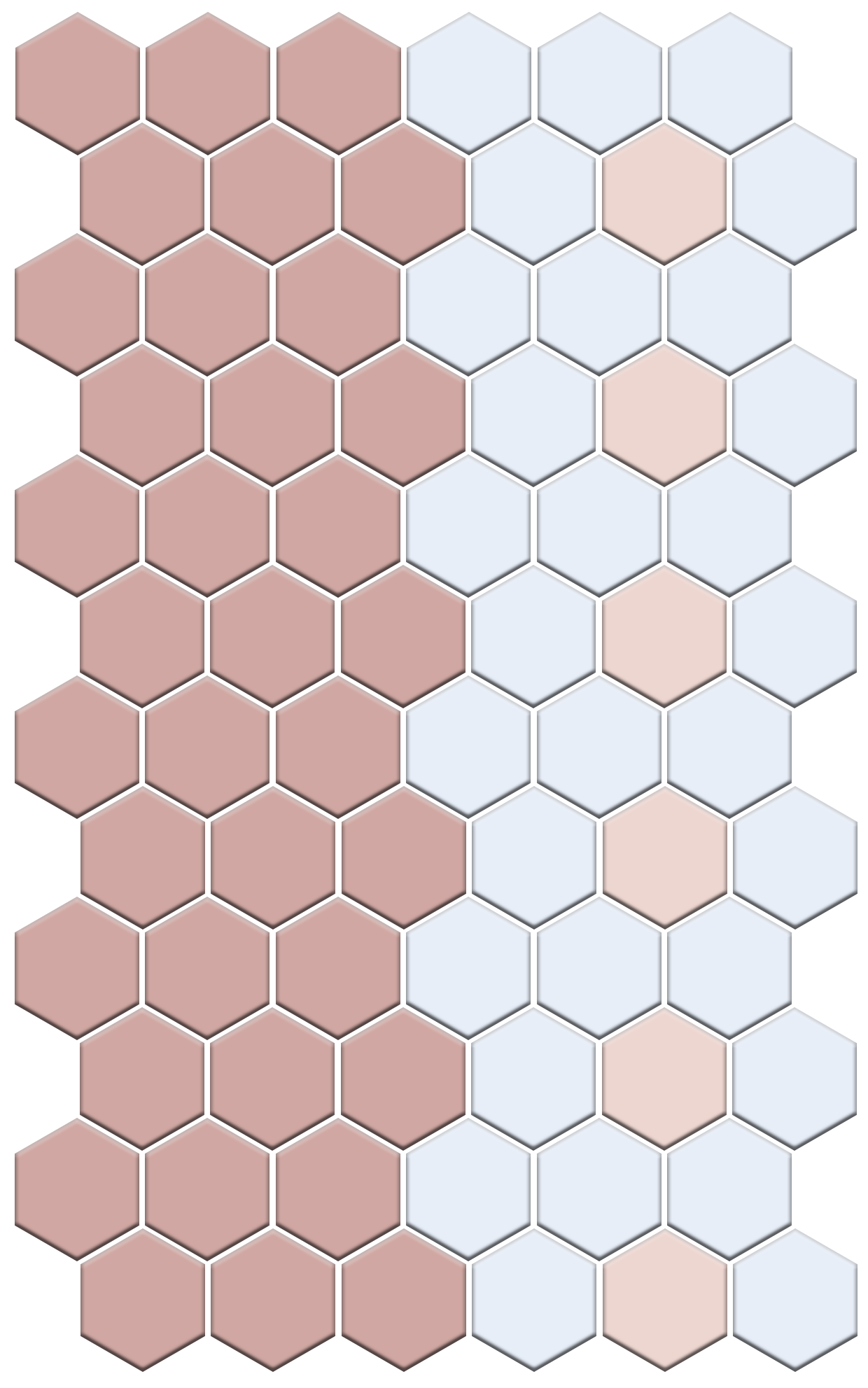 Bella Border | Pinnacle Hexagon Border
