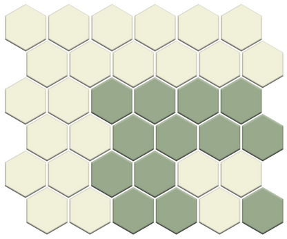 Fila Border | Pinnacle Hexagon Border