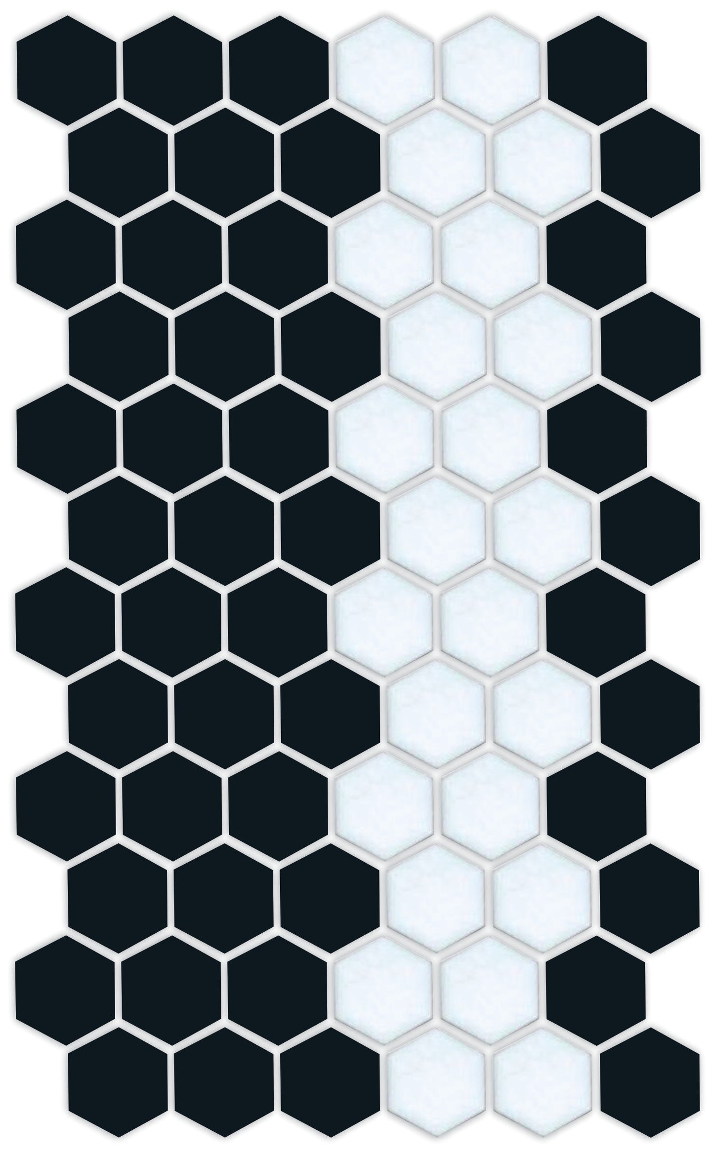 A pattern of porcelain hexagon tiles in Satin Black and Satin white arranged in a offset border pattern