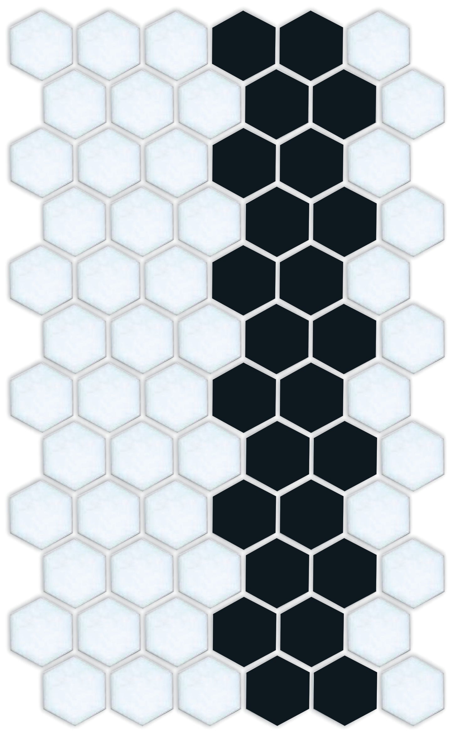 A pattern of porcelain hexagon tiles in Satin Black and Satin white arranged in a offset border pattern