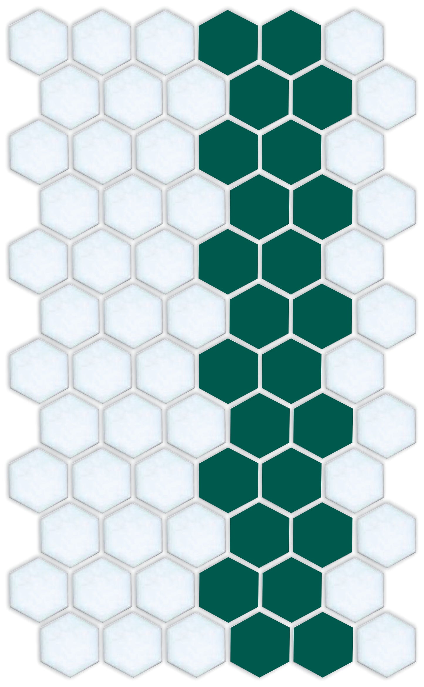 A pattern of porcelain hexagon tiles arranged in a offset border pattern