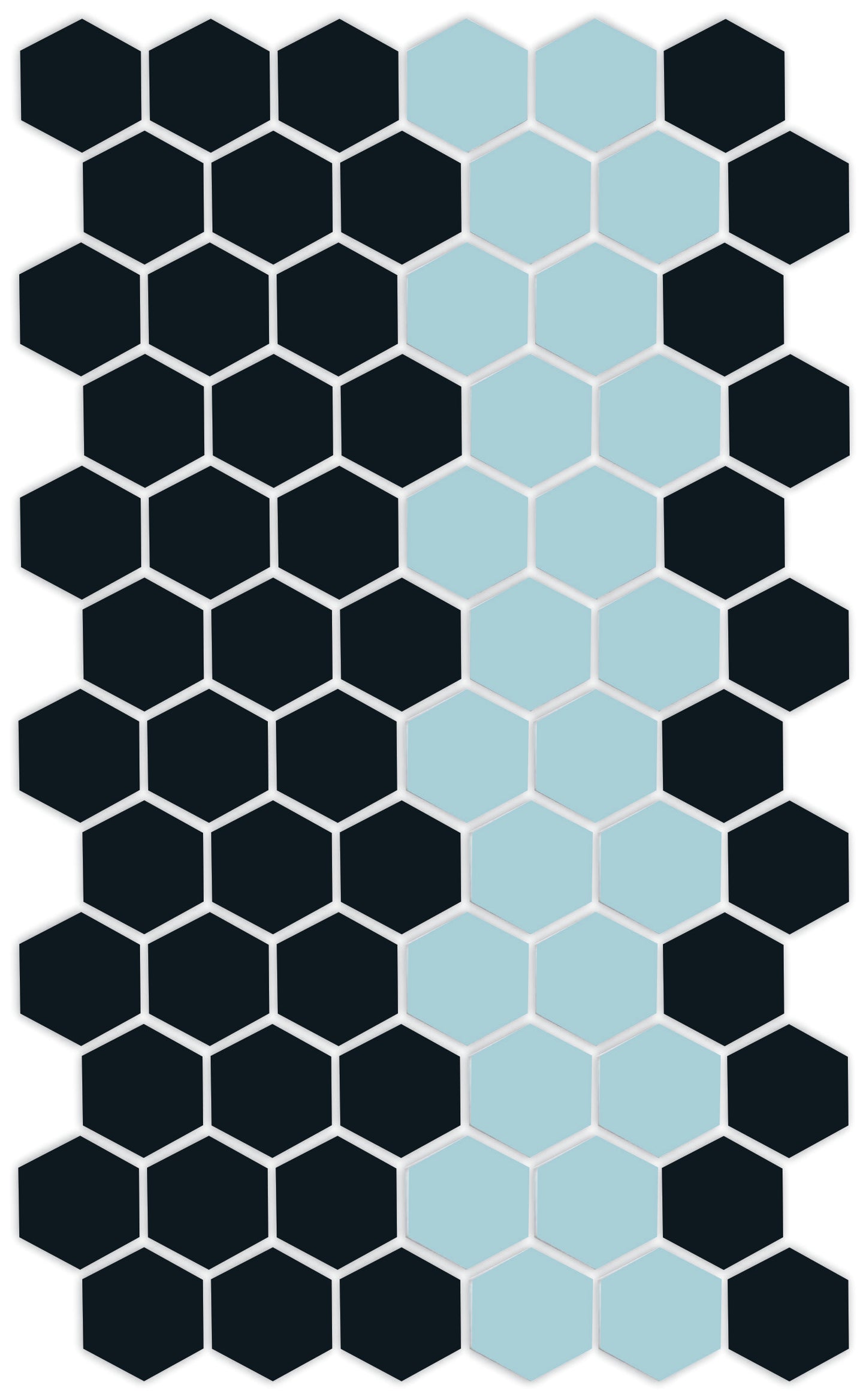 A pattern of porcelain hexagon tiles in Satin Black and Glacier blue arranged in a offset border pattern