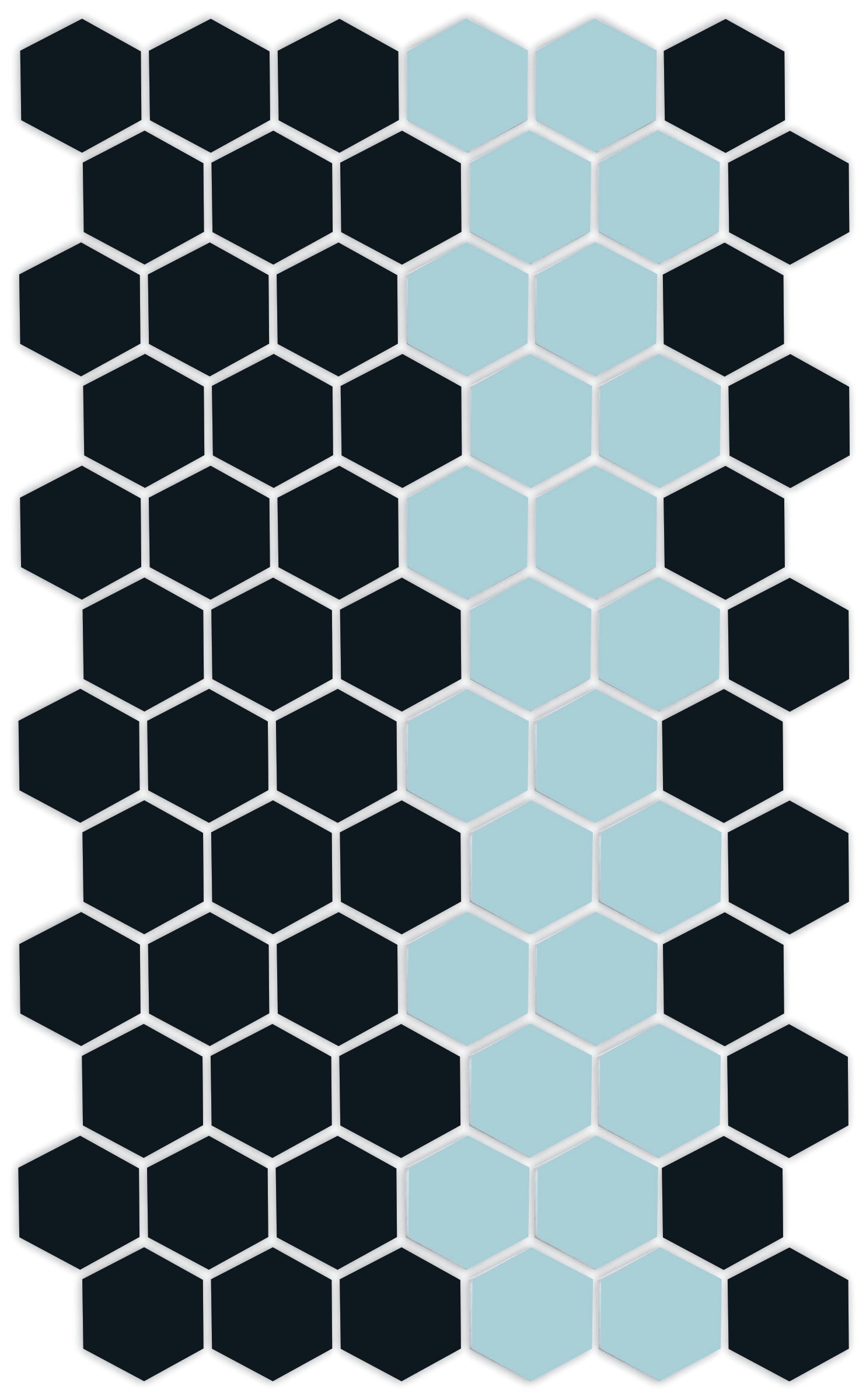 A pattern of porcelain hexagon tiles in Satin Black and Glacier blue arranged in a offset border pattern