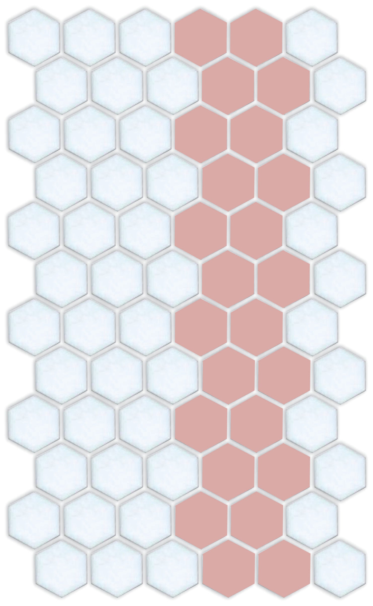A pattern of porcelain hexagon tiles arranged in a offset border pattern