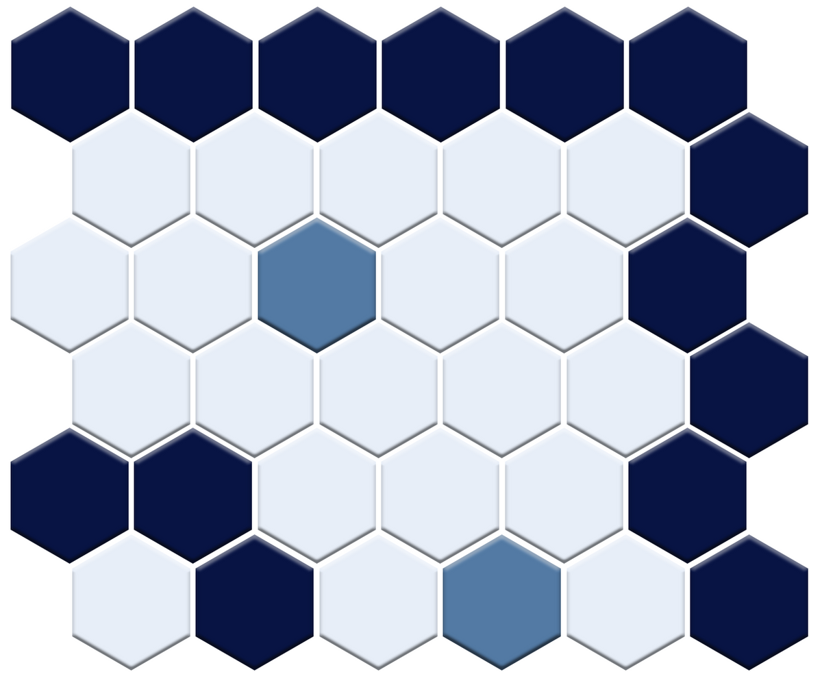 Sable Border | Pinnacle Hexagon Border