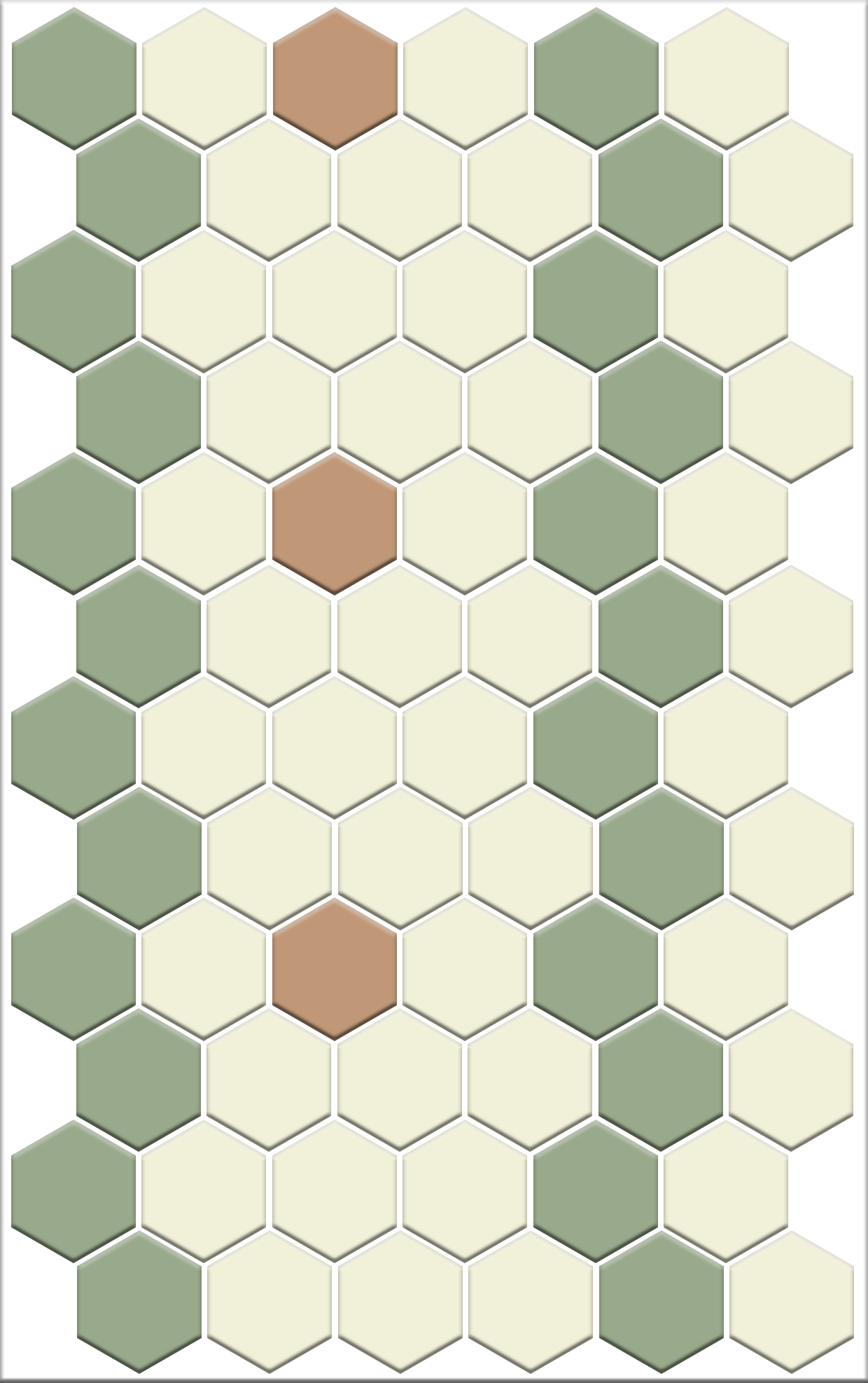 Sable Border | Pinnacle Hexagon Border