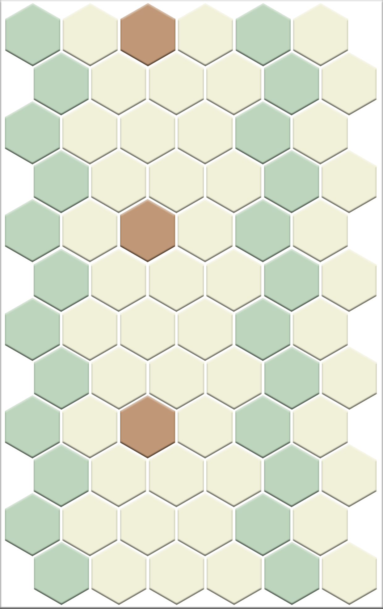Sable Border | Pinnacle Hexagon Border