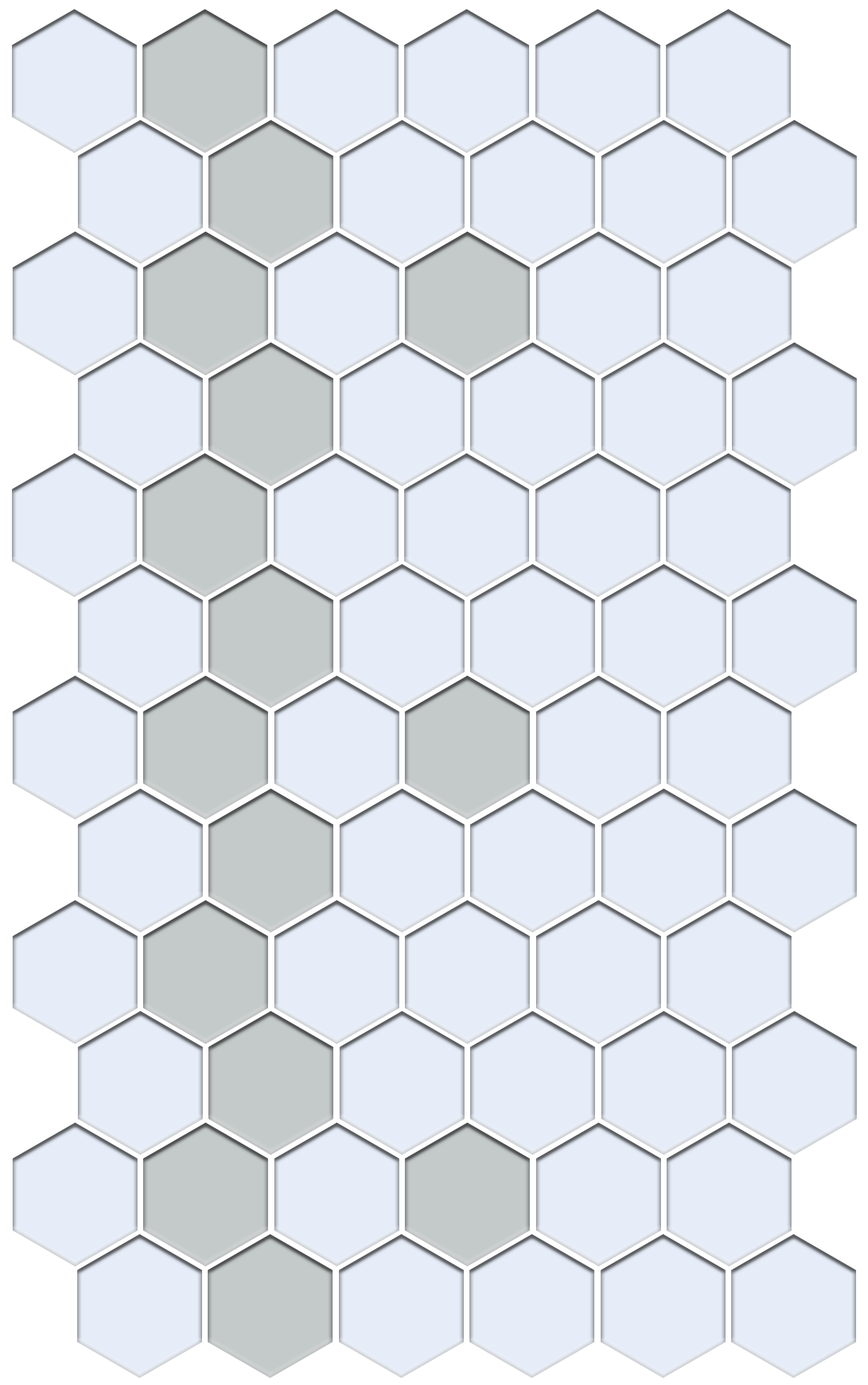 Sable Border | Pinnacle Hexagon Border