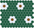 Teddy Brown/Gloss White on Forest Green