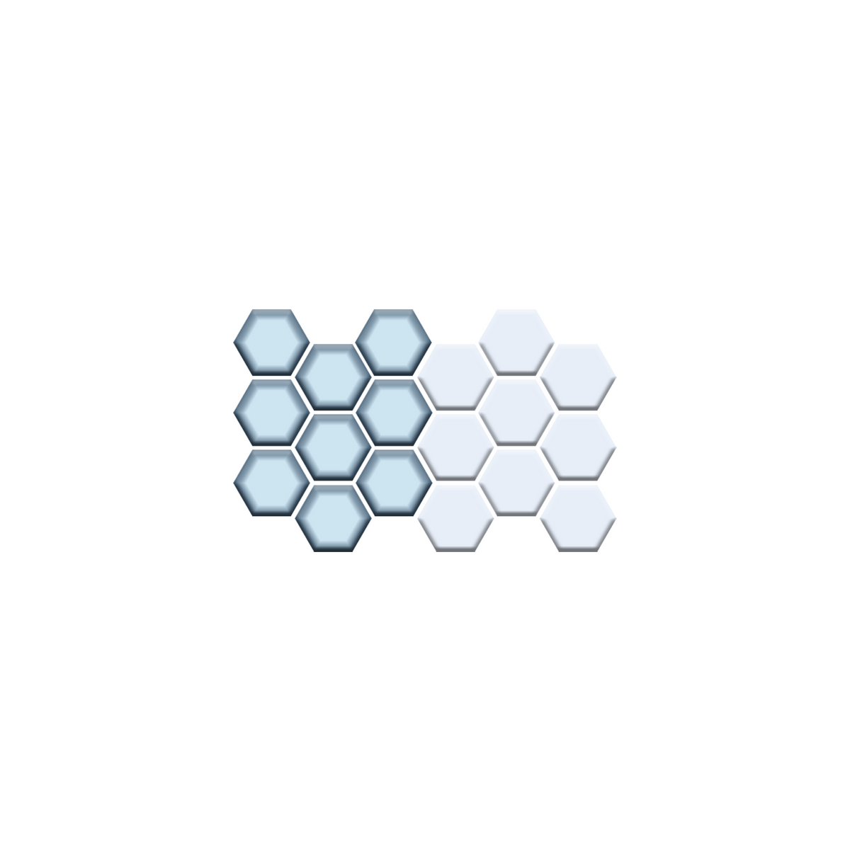 Fila Border | Pinnacle Hexagon Border
