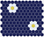 Bumblebee Yellow/Satin White/Oceana Blue
