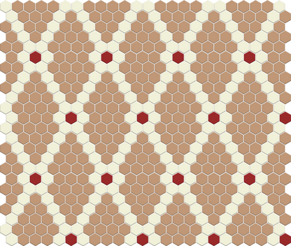 Rose & Trellis | Pinnacle Hexagon Patterns