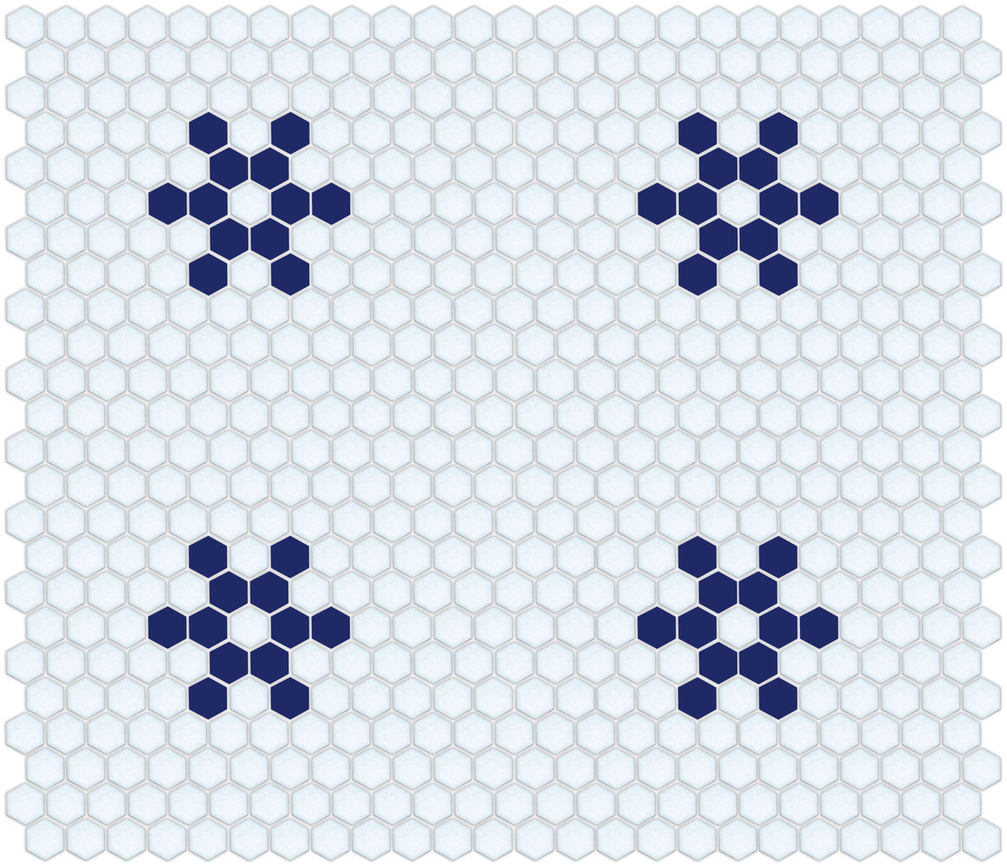 Snowflake, Pinnacle Hexagon Pattern Field, Oceana
