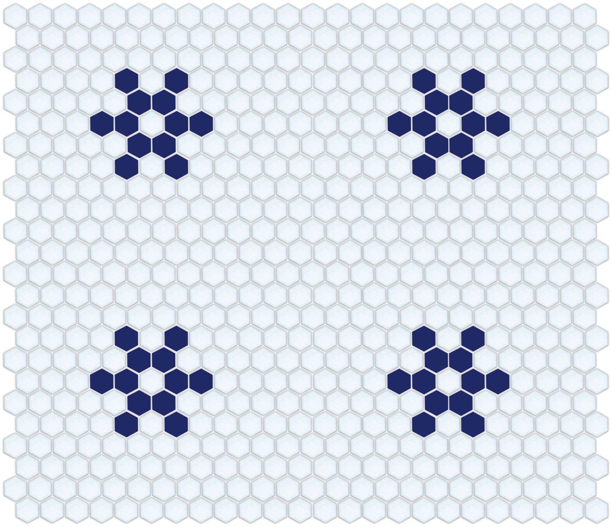 Snowflake, Pinnacle Hexagon Pattern Field, Oceana
