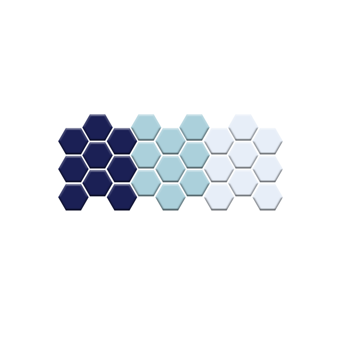 Wildflower | Pinnacle Hexagon Patterns