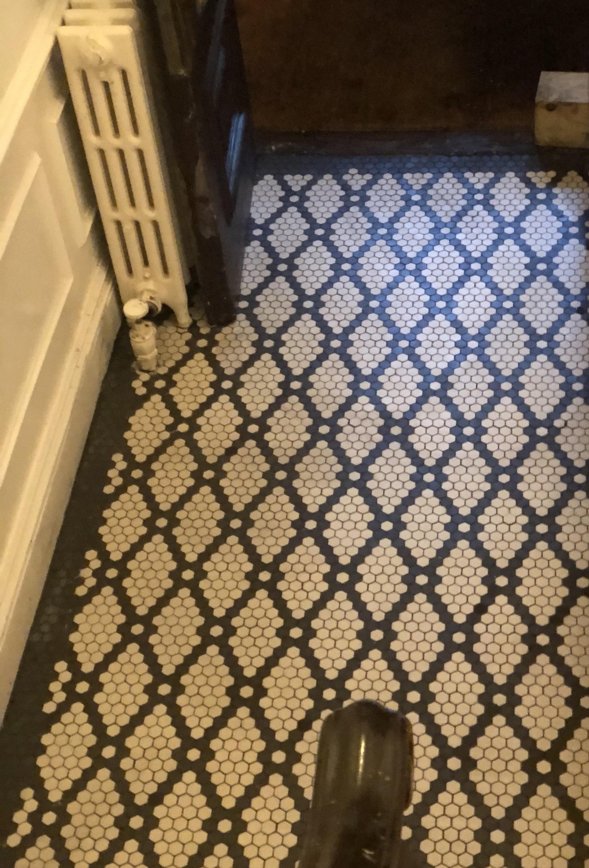Rose and Trellis Pinnacle Hexagon Pattern in Brownstone entryway